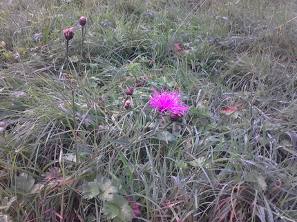IMG 20121015 171927