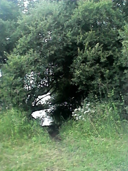 IMG 20130704 172226-2