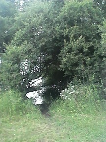 IMG 20130704 172226